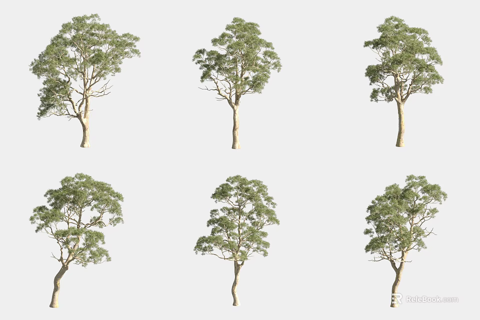 Six Arbor Trees with Green Foliage and Trunks in Various Growth Forms 3d model 