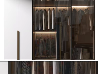 Modern Wardrobe With Glass Doors And Hanging Clothes Storage Compartments 3d model