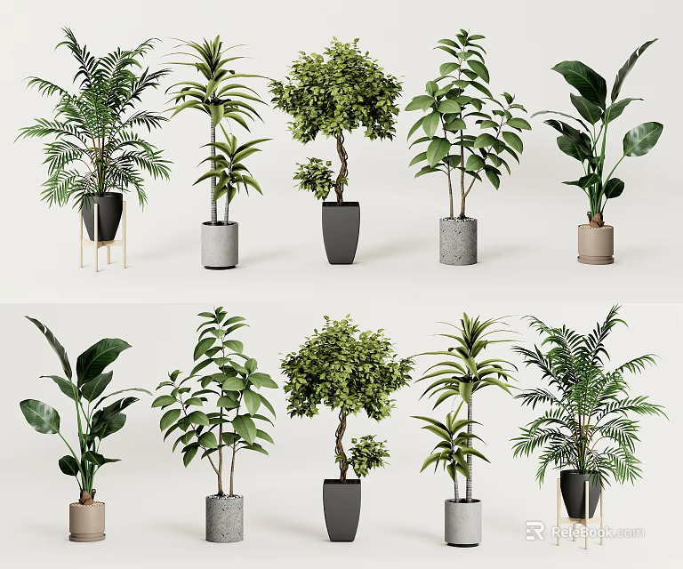 Various Potted Plants With Green Leaves And Different Colored Pots On Stands 3d model 
