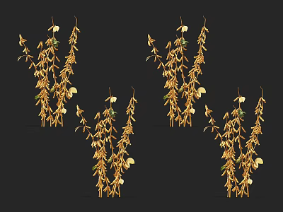 Hanging Golden Vines With Yellow Leaves And Small White Flowers On Black Background 3d model