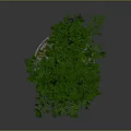 Cartoon Scene With Floating Platform Green Trees Small House And Hanging Roots