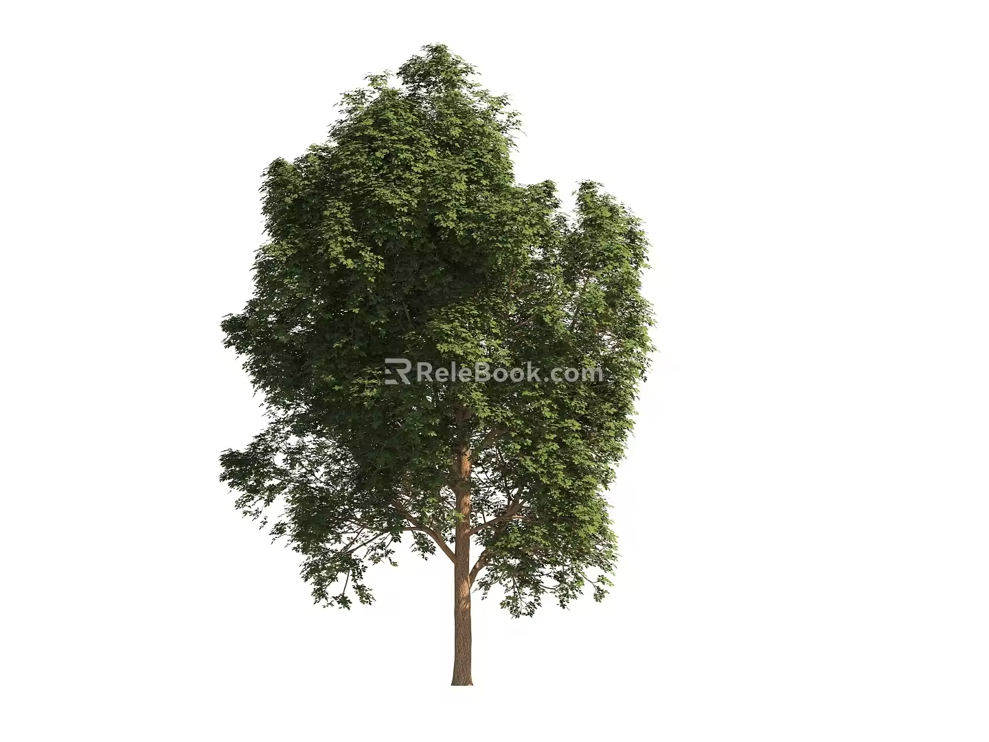 Modern realistic trees 3d model