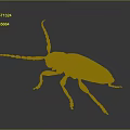 Black Beetle With Long Antennae Shiny Exoskeleton And Detailed Legs On Dark Background