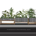 Assorted Plant Combination With Wooden Planters And Tropical Greenery For Indoor Decor
