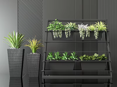 Bonsai Potted Plants On Black Multi Tiered Shelf With Standalone Pots And Dark Vertical Walls 3d model