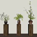 Decorative Vase Flowers With Various Plants On Wooden Pedestals Against Light Colored Wall