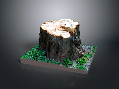 Natural Wooden Stump with Growth Rings and Green Foliage on Stone Base 3d model