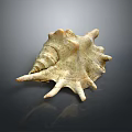 Elegant Natural Seashell Decorative Ornament For Home Tabletop Decor Piece