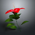 Vibrant Red Flower with Lush Green Leaves Isolated on Grey Background