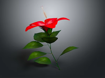 Vibrant Red Flower with Lush Green Leaves Isolated on Grey Background 3d model