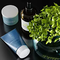 Elegant Daily Cleansing Skincare Products With Blue Bottles Green Plants And Transparent Vase