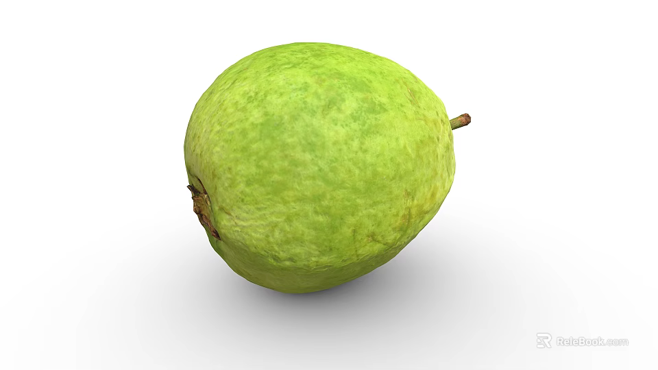 Healthy Tropical Fresh Green Guava Fruit With Smooth Textured Surface And Small Stem 3d model 