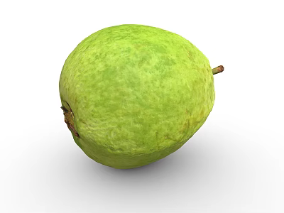 Healthy Tropical Fresh Green Guava Fruit With Smooth Textured Surface And Small Stem 3d model