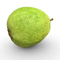 Healthy Tropical Fresh Green Guava Fruit With Smooth Textured Surface And Small Stem