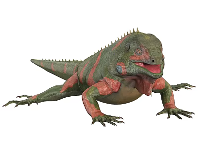 Green and Red Iguana Reptile With Spiny Back Displaying Open Mouth 3d model