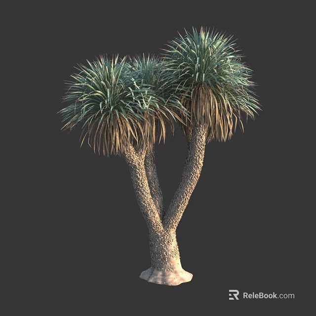 Twin Trunk Tree with Lush Green Feathery Leaves and Natural Growth 3d model 