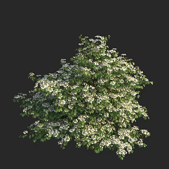 Modern Butterfly Play Pearl Flower Powder Group Viburnum Butterfly Viburnum Butterfly Tree Butterfly Flower Shrub Flower Tree 3d model