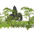 Lush Green Ferns and Various Herbs with Natural Rocks in Garden Scene