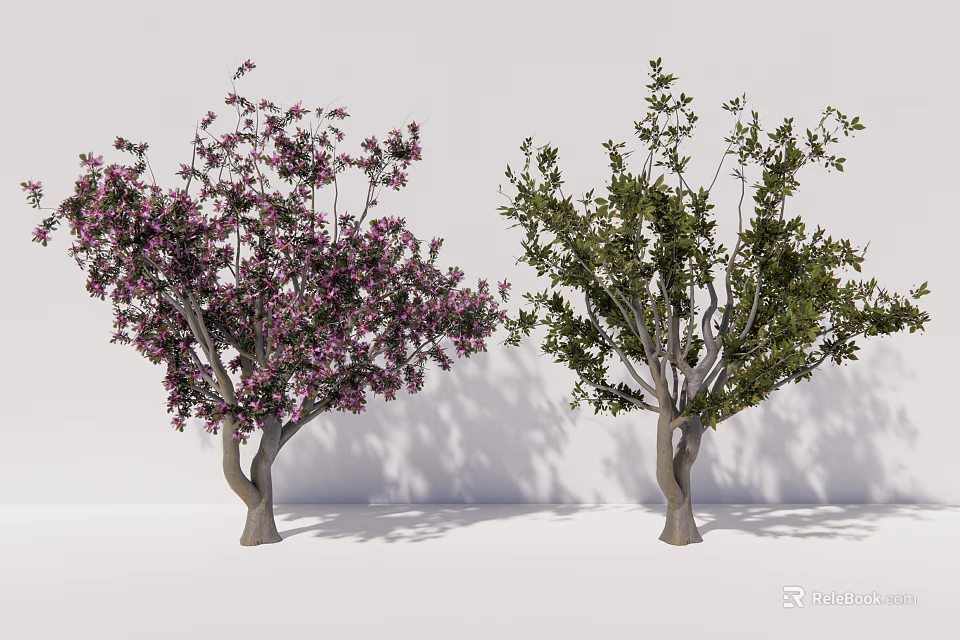 Outdoor Ornamental Arbor Trees With Pink Blossoms And Lush Green Foliage For Landscaping 3d model 
