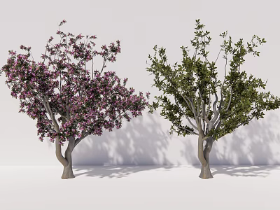Outdoor Ornamental Arbor Trees With Pink Blossoms And Lush Green Foliage For Landscaping 3d model