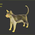 Black And White Cat With Green Eyes Standing On Gray Background