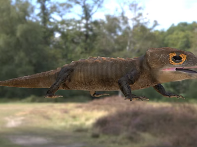 Reptile With Distinctive Features In Natural Environment 3d model
