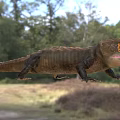 Red-eyed eagle lizard armor lizard thin three-sided lizard red-eyed crocodile lizard brucose crocodile skink lizard creature animal 3d model