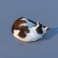 Adorable Brown And White Cat Curled Up Peacefully On Blue Background