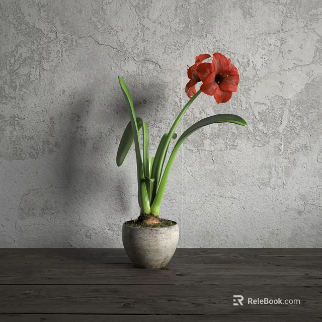 Potted Bonsai Plant With Red Flower Green Leaves In Light Pot On Dark Wooden Table 3d model 