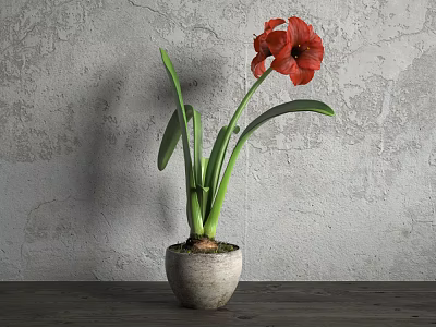 Potted Bonsai Plant With Red Flower Green Leaves In Light Pot On Dark Wooden Table 3d model