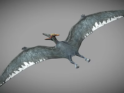 Modern Pterosaur Dinosaur 3d model