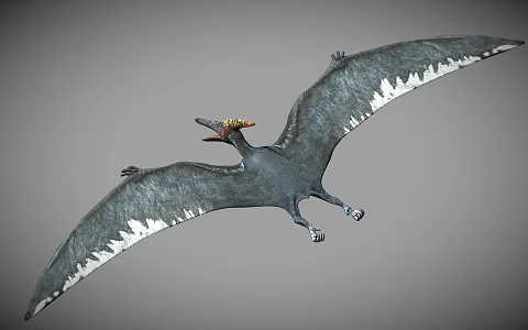 Modern Pterosaur Dinosaur 3d model