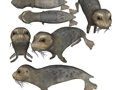 Realistic Reptile 3D Models Showcasing Various Standing And Crawling Poses 3d model