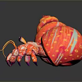 Colorful Hermit Crab With Red Orange Spiral Shell Purple Eyes And Striped Legs
