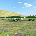 Large Open Outdoor Field Camp With Multiple Green Tents And Seats On Vast Natural Grassland
