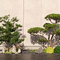 Two Green Leafy Trees With Stones And Small Shrubs On Tiled Ground Against Textured Wall