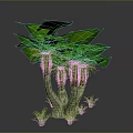 Vibrant Tree with Large Green Leaves Multiple Trunks and Small Base Plants