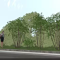 Rural Landscape Scene With Lush Green Trees And Woman Standing By Roadside