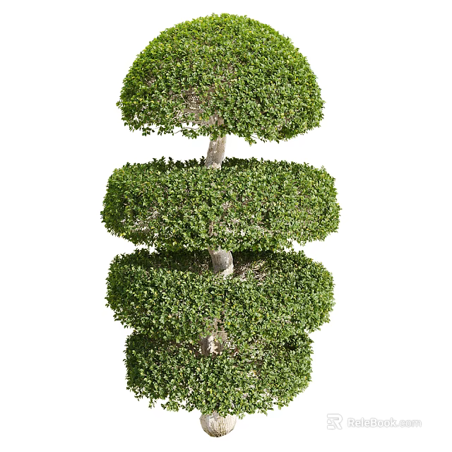 Pruned Spiral Shaped Multi Layered Arbor With Lush Green Foliage And Structured Design 3d model