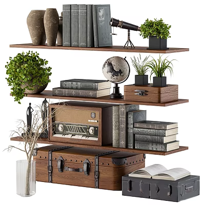 Wooden Wall Shelves Displaying Books Plants Globe Vintage Radio And Decor Items 3d model
