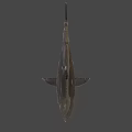 Fierce Shark Character From Game And Movie With Sharp Teeth And 3D Design