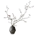 Minimalist Black Vase With White Lines Holding Branches And Red Berries For Interior Decor