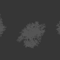 Various Tree Types Displaying Diverse Structures Shapes and Human Silhouette Comparison 3d model