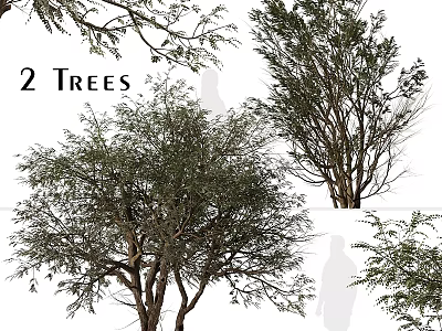 Two Trees Garden Ornament with Lush Foliage and Natural Branch Design 3d model