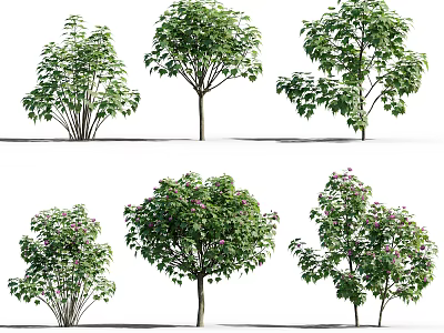 Different Types of Arbor Trees With Lush Foliage and Varied Canopy Shapes 3d model