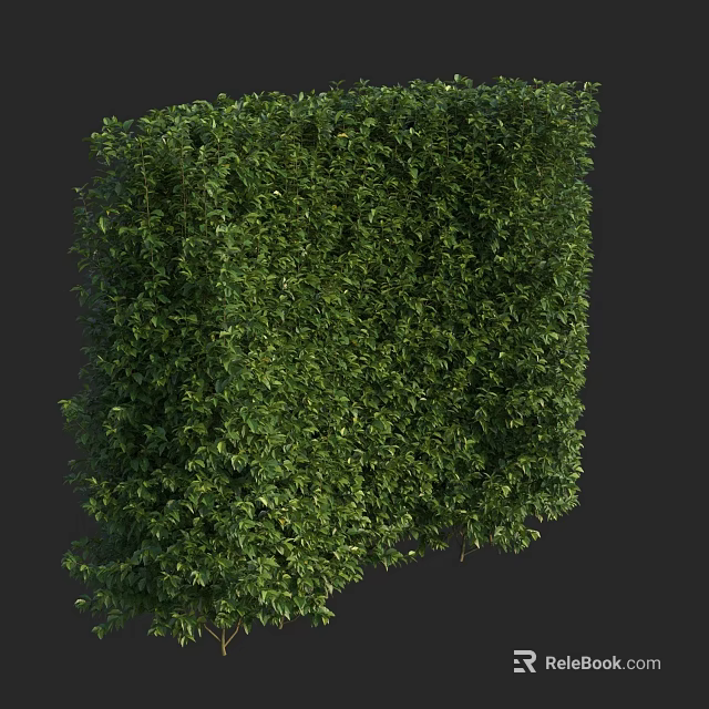 Square Shaped Green Shrub With Lush Dense Foliage For Garden Landscaping 3d model 