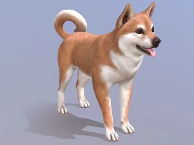 Modern dog Akita 3d model Modern dog Akita 3d model