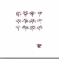 Flowering Trees With Various Pink Purple And White Blossom Varieties