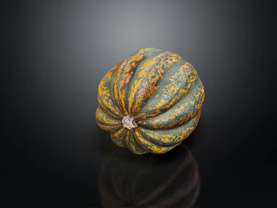 Modern Pumpkin Vegetable Plant 3d model