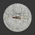 Cute Spotted Fawn Standing Inside Glass Globe On Snowy Ground With Falling Snowflakes